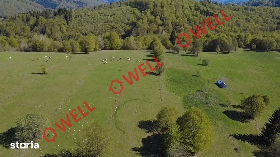 Teren de 2702 mp, în Vama Buzăului
