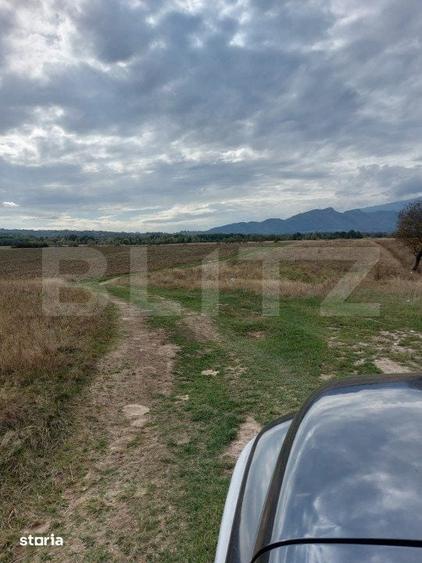 Teren de 10000 mp, în Râșnov