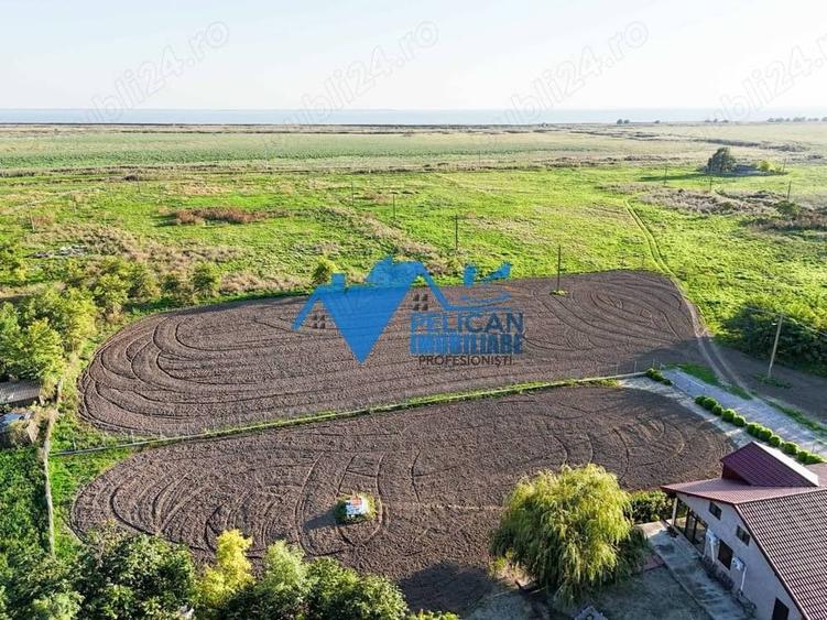 Teren de 6000 mp, în Sarinasuf