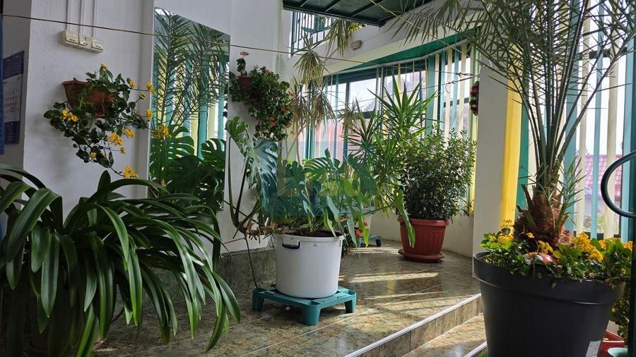 Casă cu 8 camere cu Canalizare în Central