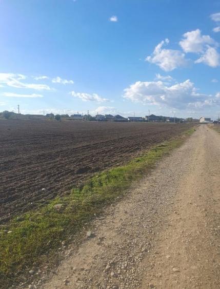 Teren Construcții intravilan de 16608 mp, în 1 Decembrie