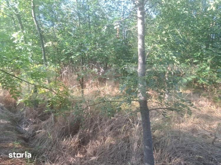 Teren de 5000 mp, în Răzvad