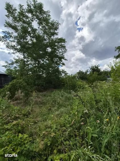 Teren de 1603 mp, în Pasărea