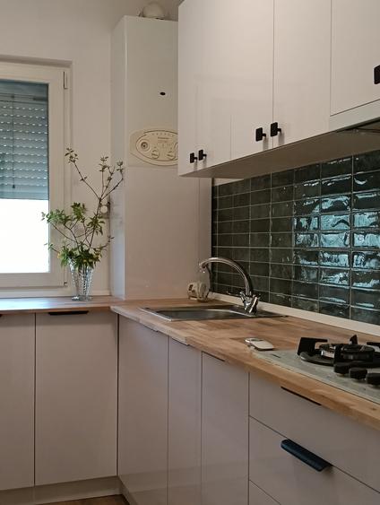 Apartament cu 2 camere nedecomandat, mobilat în Podu Roș — fotografia 2