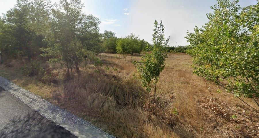 Teren Construcții intravilan de 9096 mp, în Cotorca