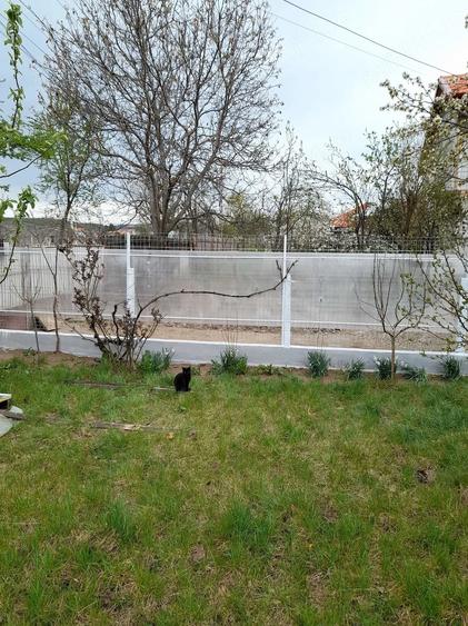 Casa de vanzare Sasenii Noi, Buzau - 3