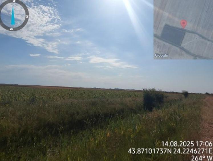 Teren de 2500 mp, în Amărăști