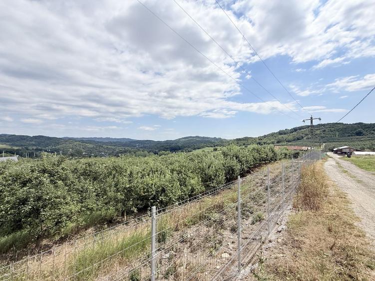 Teren Construcții intravilan de 2721 mp, în Valea Târsei