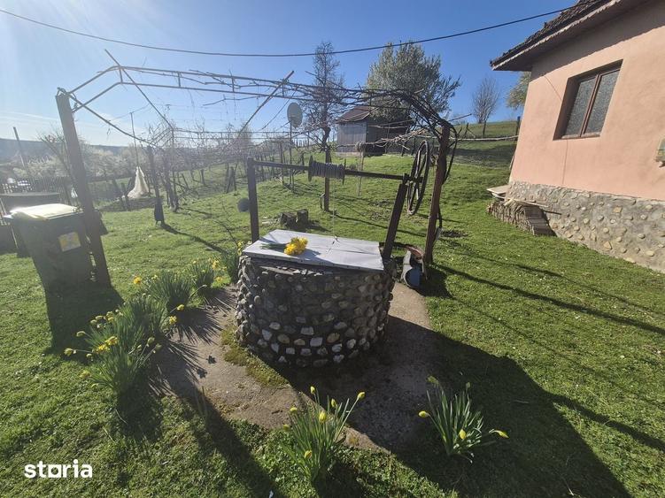 Casă cu 3 camere cu Teren 2586 Mp în Central
