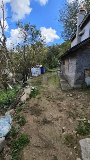 Casă individuală cu 3 camere cu Teren 23000 Mp în Poiana Mărului