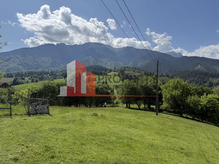 Teren Construcții intravilan de 2799 mp, în Bran