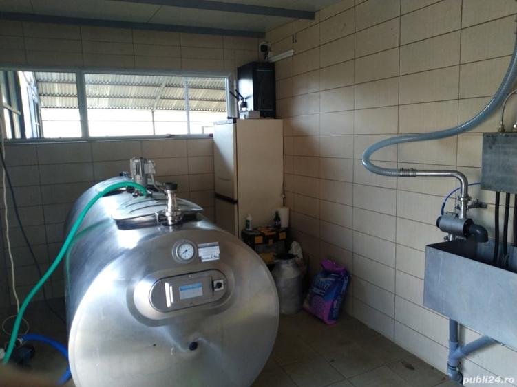 Spațiu comercial, de 1,000 mp, în Izvoru Crișului