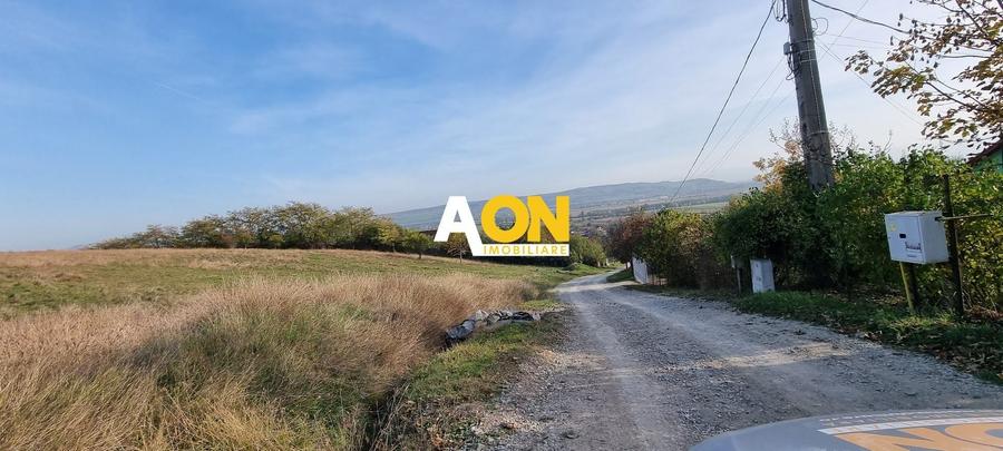 Teren Construcții intravilan de 5500 mp, în Pâclișa