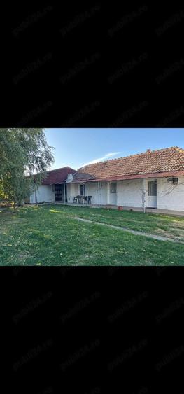 casa de vanzare, Peciu Nou, teren 1200 m - 5