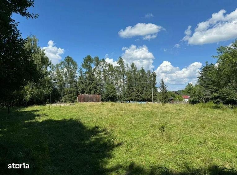 Teren intravilan 5.755 mp | Zona Muzeul Satului Maramuresean, Sighetu - 2