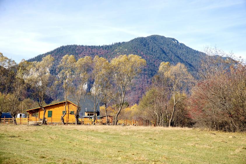 Teren Construcții intravilan de 2500 mp, în Tohănița