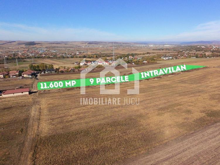 Teren Construcții intravilan de 11600 mp, în Jucu de Sus