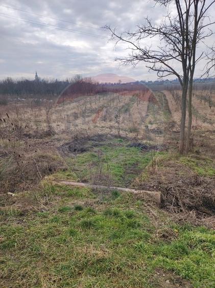 Teren Construcții intravilan de 2341 mp, în Uileacu de Munte