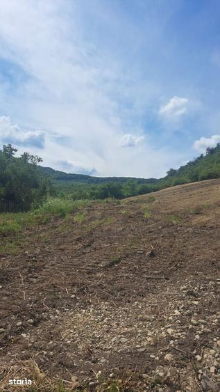 Teren de 500 mp, în Viișoara