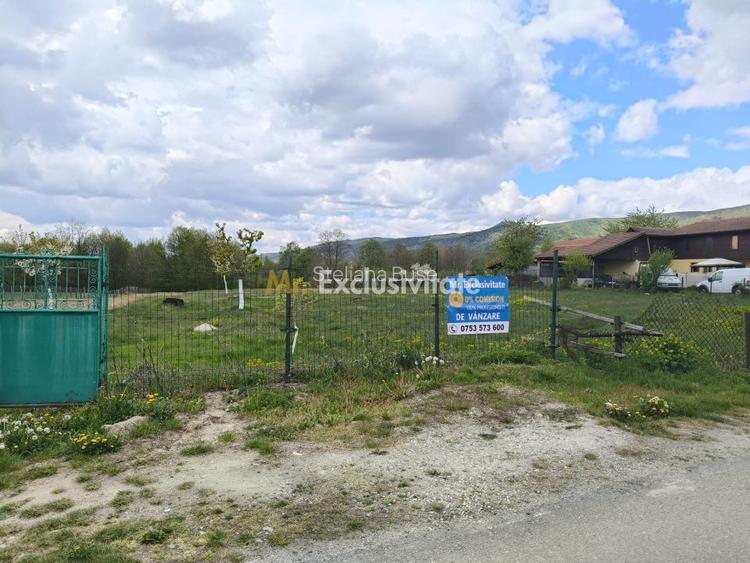 Teren mixt de vânzare Crasna Gorj, aproape de Rânca– 19.209 mp