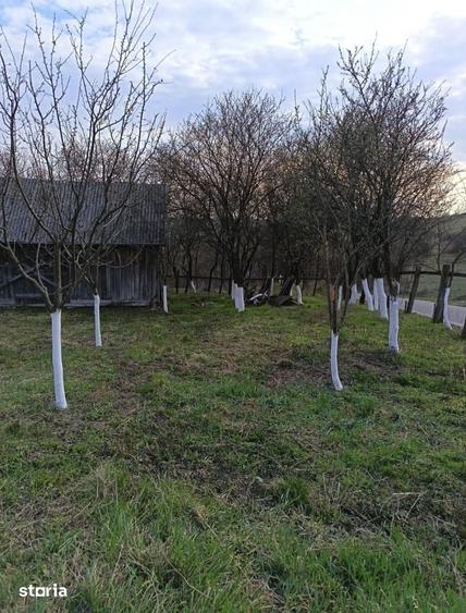 Casă cu 2 camere cu Teren 2100 Mp în Cehal
