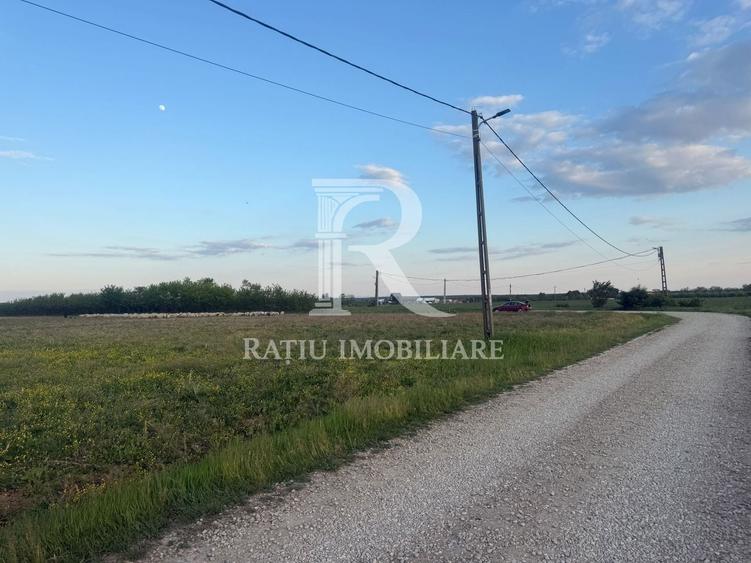 Teren agricol extravilan de 1923 mp, în Păușa