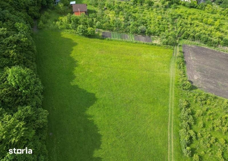 Teren de 700 mp, în Baciu