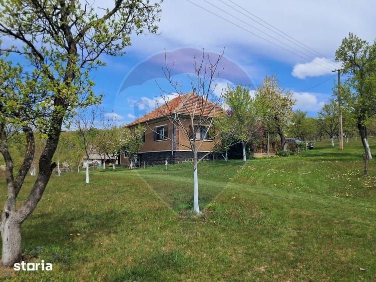 De vanzare casa cu teren 1,17ha la munte, Munteni, Bulz, spre Hiltop - 16