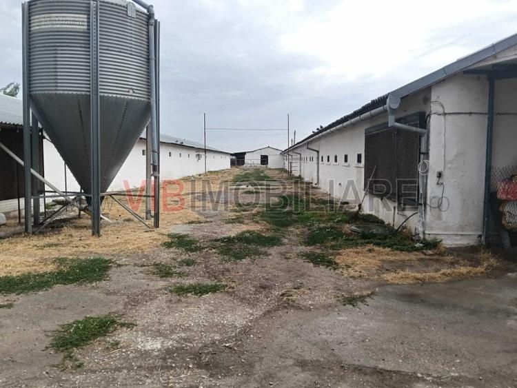 Spațiu comercial, de 5,000 mp, în Podgoria
