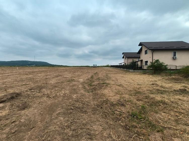 Teren Construcții intravilan de 8500 mp, în Bârnova