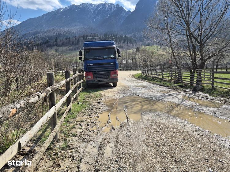 Teren de 2500 mp, în Plaiul Foii