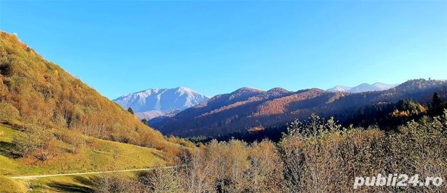 Teren de 4000 mp, în Racovița