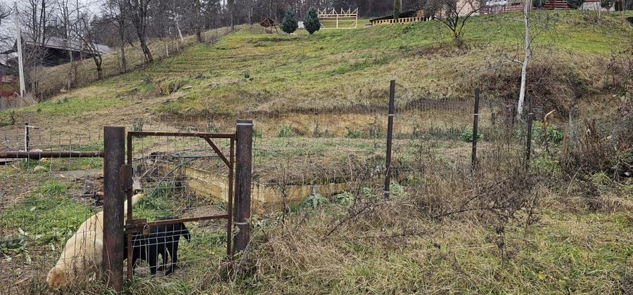 Teren Construcții intravilan de 1131 mp, în Comănești