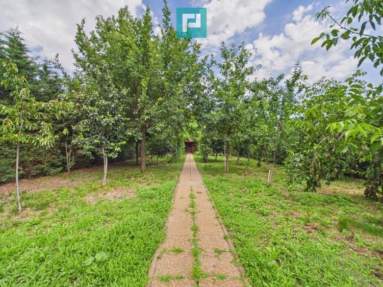 Casă individuală cu 3 camere cu Canalizare în Săcălaz