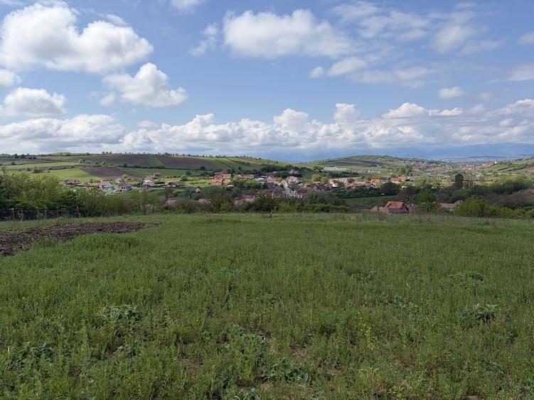 Teren de 2500 mp, în Șura Mare