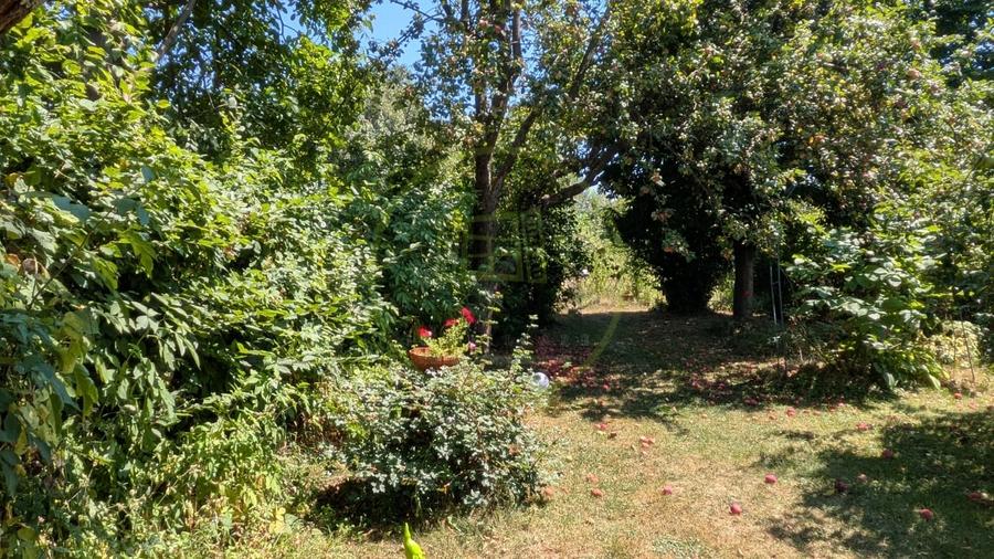 Teren Construcții intravilan de 1093 mp, în Sadu