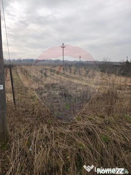 Teren de 2341 mp, în Uileacu de Munte
