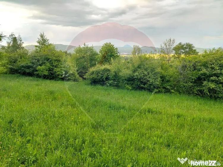 Teren în Tohănița