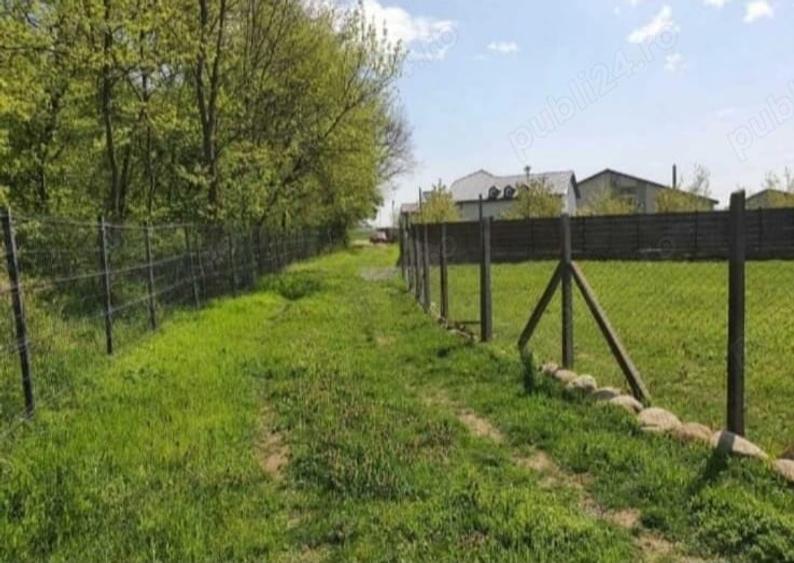 Teren de 6000 mp, în Nord