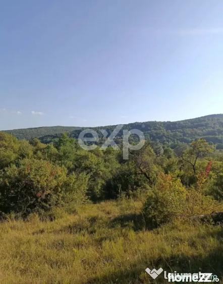 Teren de 4944 mp, în Tigveni