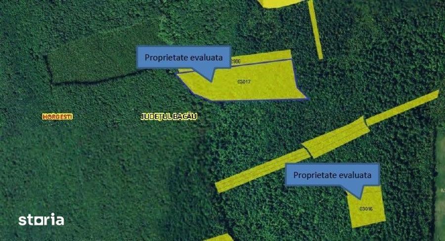 Teren de 35000 mp, în Horgești