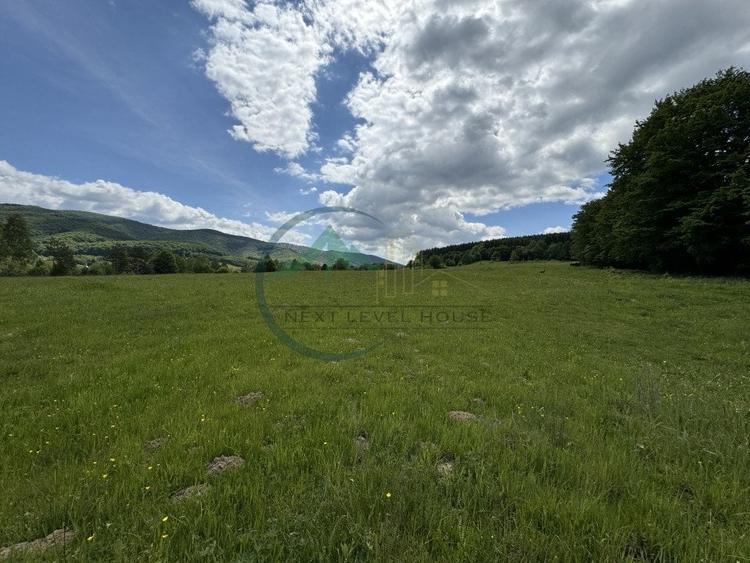 Teren Construcții intravilan de 34602 mp, în Valea Dobârlăului