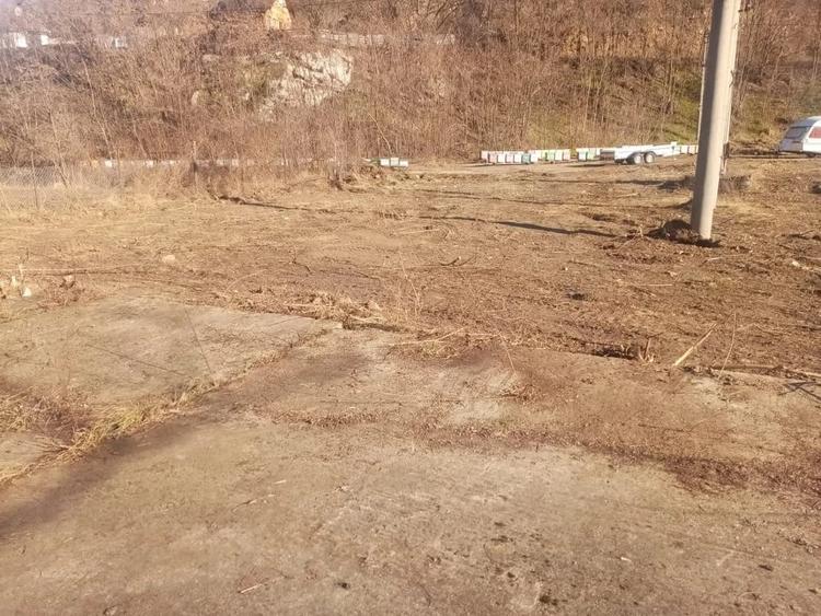 Teren de 7432 mp, în Săsciori