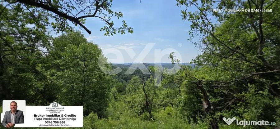 Casă cu 5 camere cu Teren 4489 Mp în Râu Alb de Jos