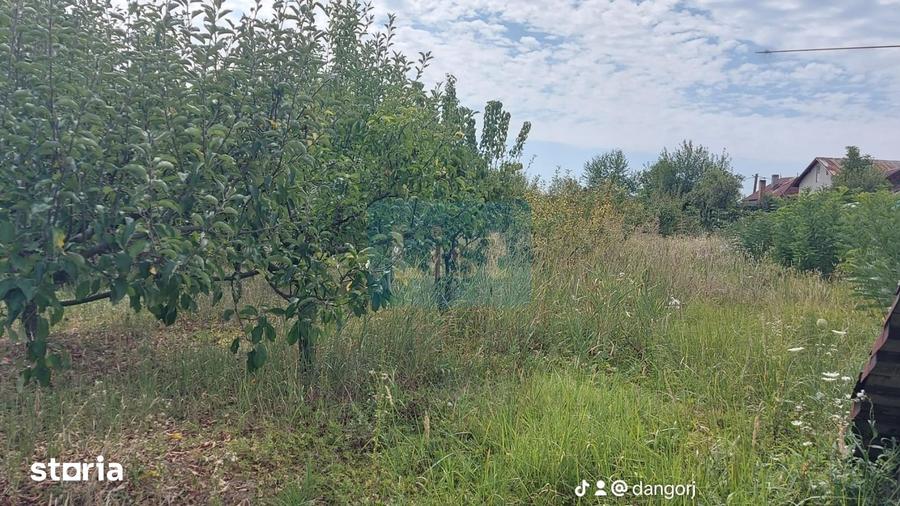 Casă cu 8 camere cu Teren 5000 Mp în Bengești