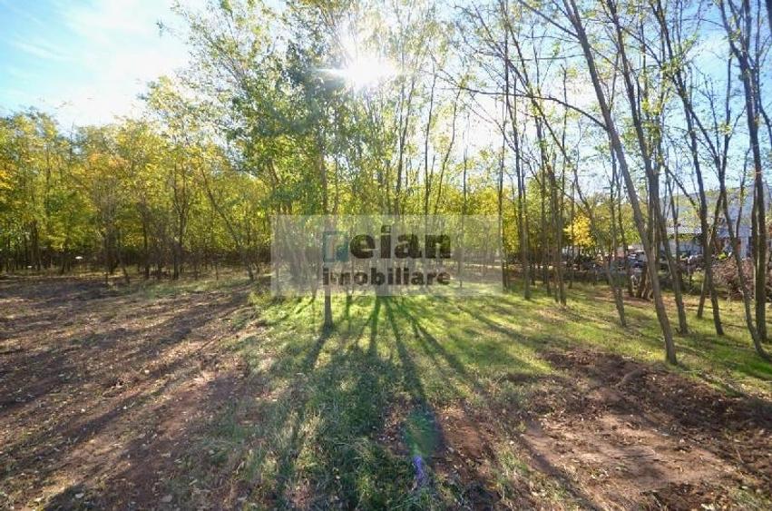 Teren Construcții intravilan de 1336 mp, în Ciofliceni