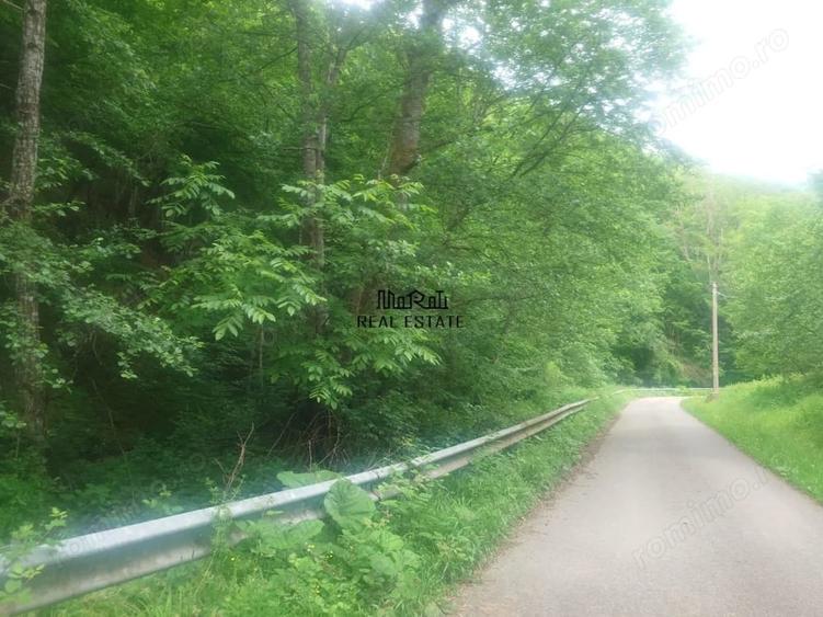 Teren de 9757 mp, în Bulzeștii de Sus