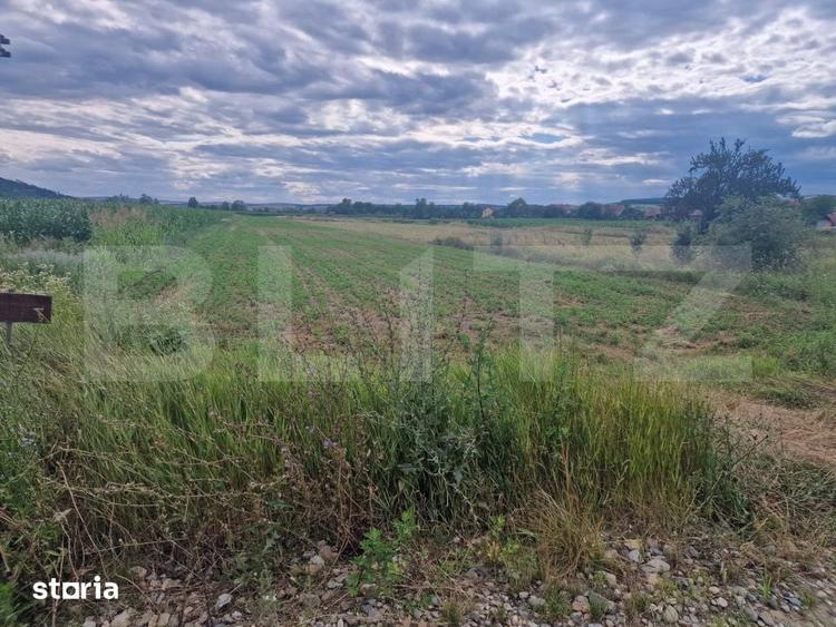 Teren de 4300 mp, în Zorilor
