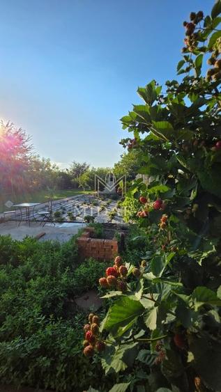 Casă cu 4 camere în Grădiștea
