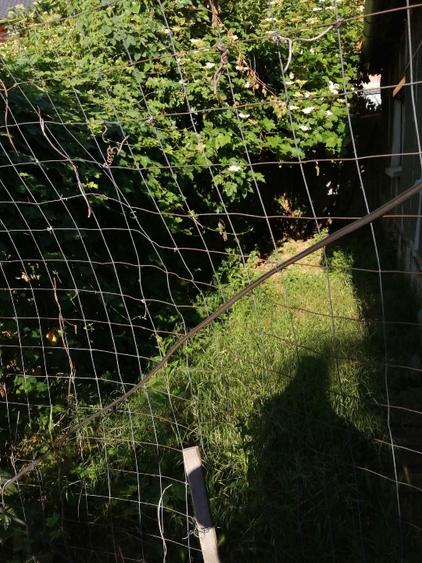 De vânzare teren intravilan cu o casă demolabilă  - 6